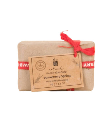 https://cdn.shopify.com/s/files/1/1857/6931/products/WTr3kGJcLz.jpg?v=1654855233